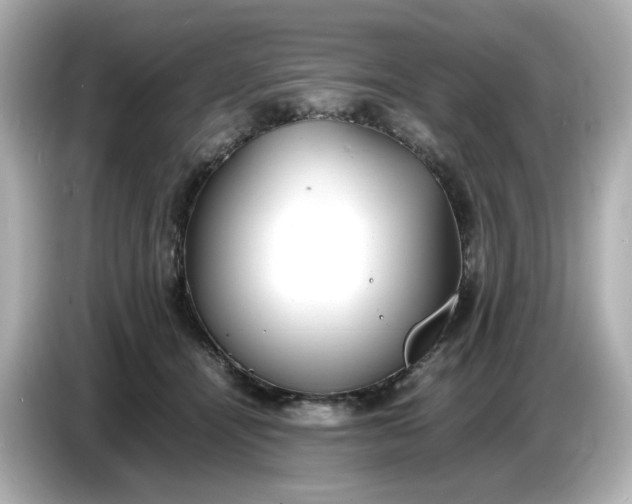 X0000086910464200704301040