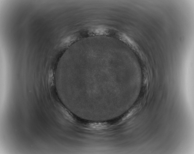 X0000086910465200704301041