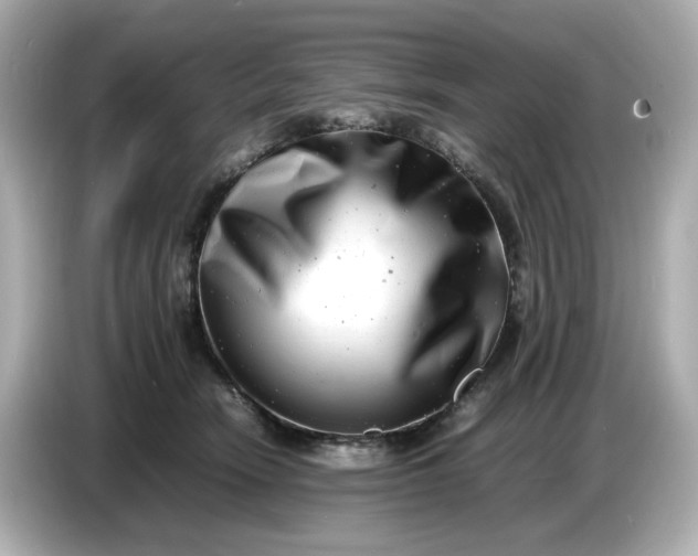 X0000086910466200704301041