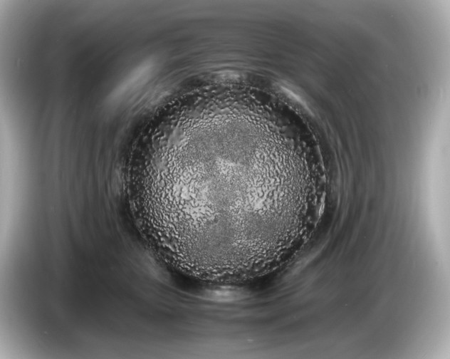 X0000086910467200704301041