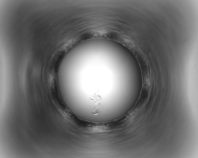 X0000086910468200704301041