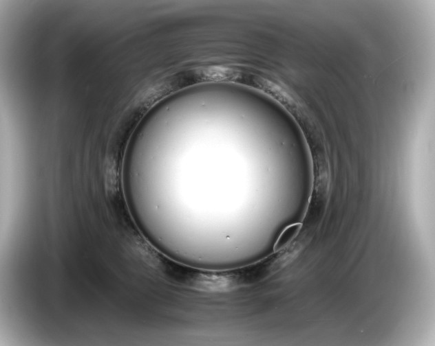 X0000086910469200704301041