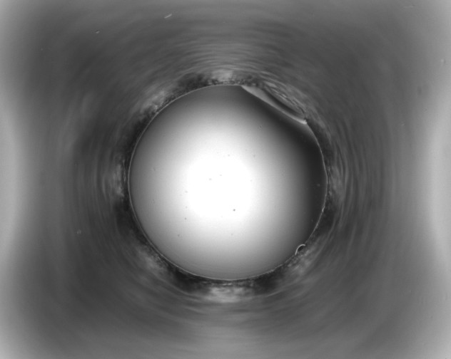 X0000086910470200704301041