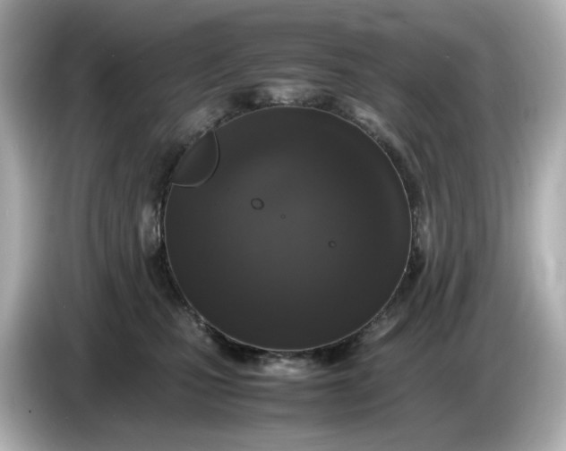 X0000086910471200704301041