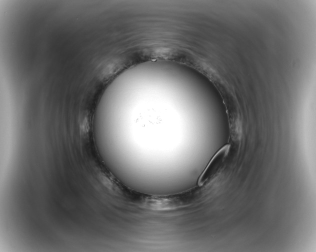 X0000086910472200704301041