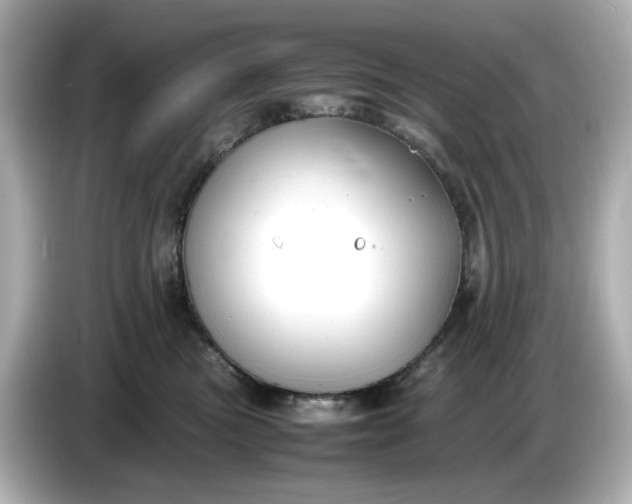 X0000086910473200704301041