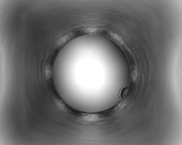 X0000086910476200704301041