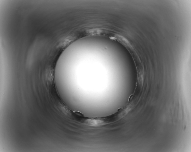 X0000086910477200704301041