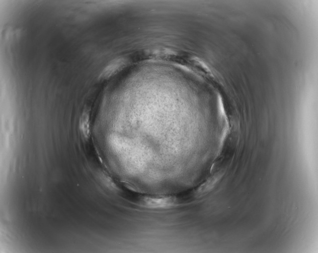 X0000086910479200704301041