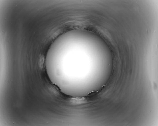 X0000086910480200704301041