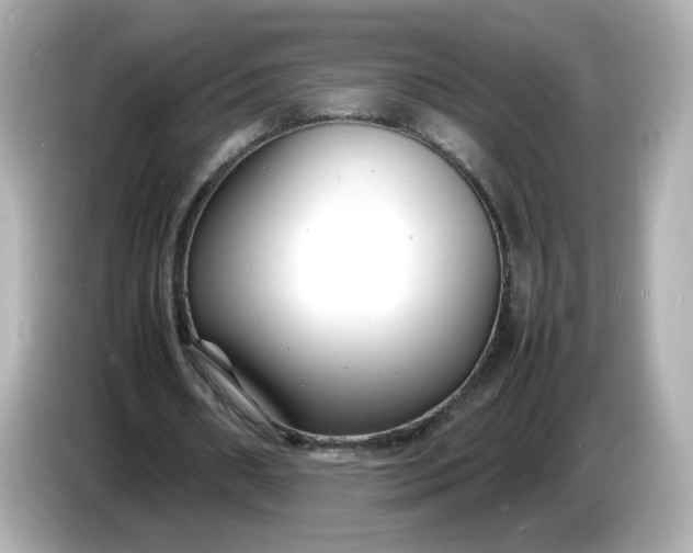 X0000086910482200704301040