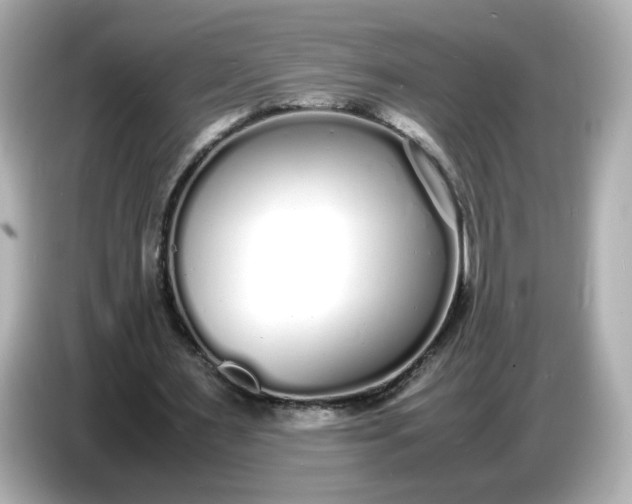 X0000086910483200704301040