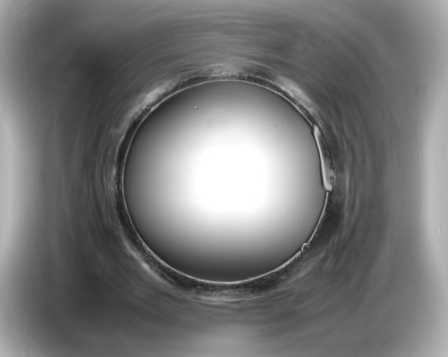 X0000086910485200704301040