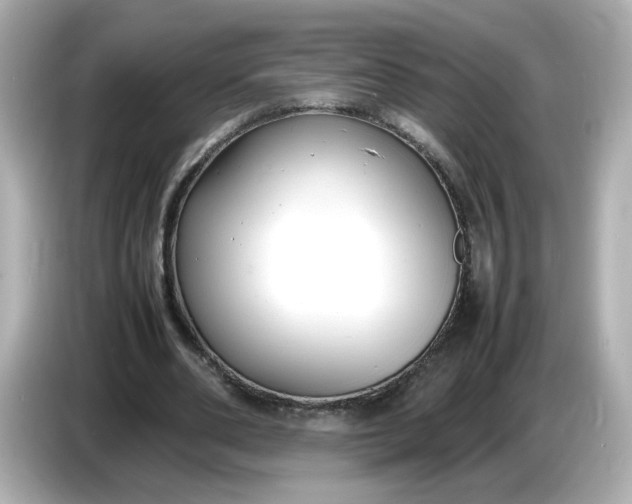 X0000086910486200704301040