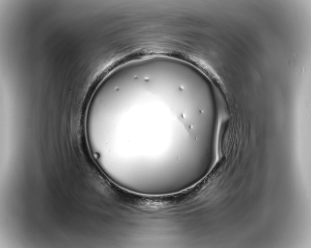 X0000086910487200704301040