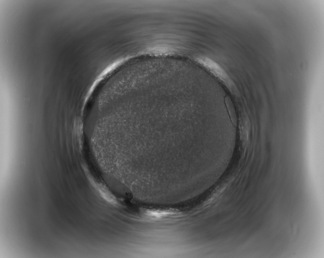 X0000086910488200704301040