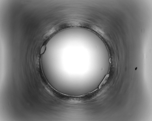 X0000086910489200704301040