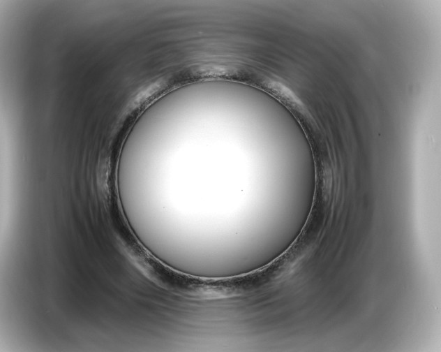 X0000086910490200704301040