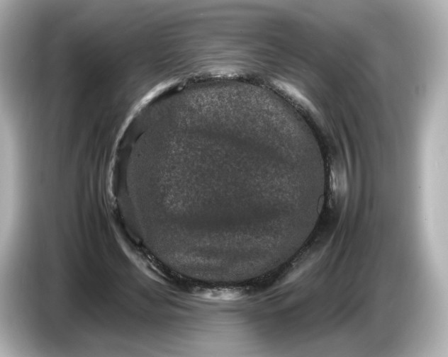 X0000086910492200704301040