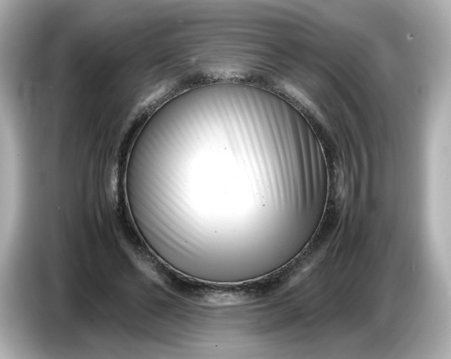 X0000086910494200704301040