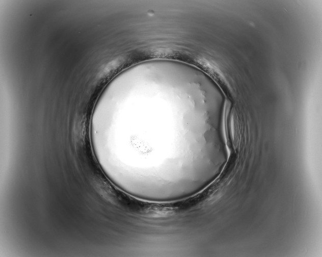 X0000086910495200704301040