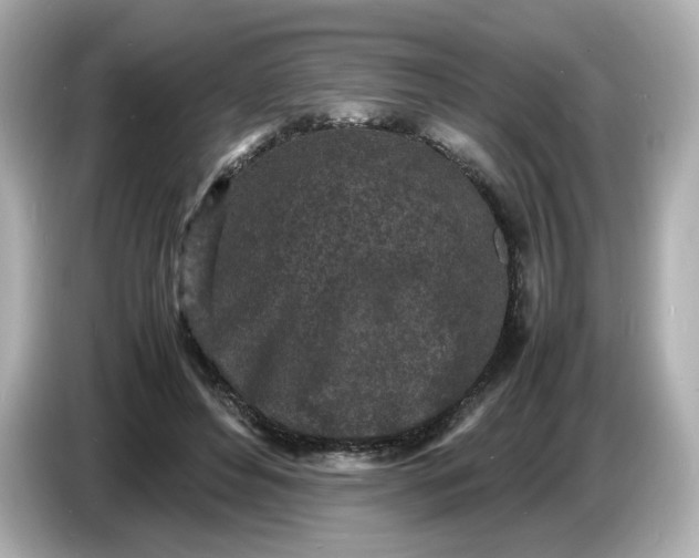 X0000086910496200704301040