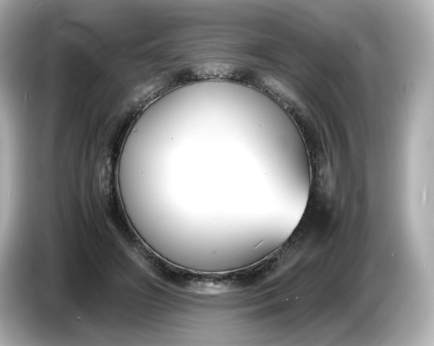 X0000086910498200704301040