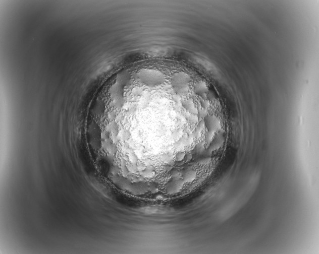 X0000086910499200704301040