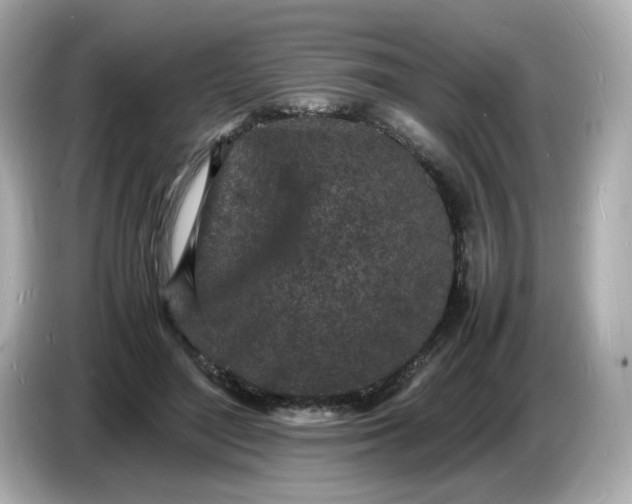 X0000086910500200704301040