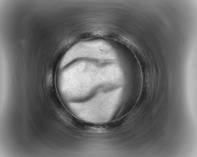 X0000086910502200704301040