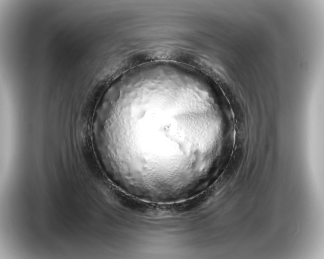 X0000086910503200704301040