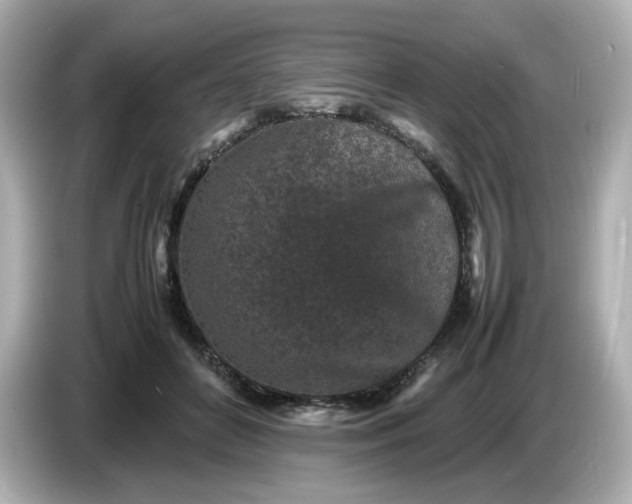 X0000086910504200704301040