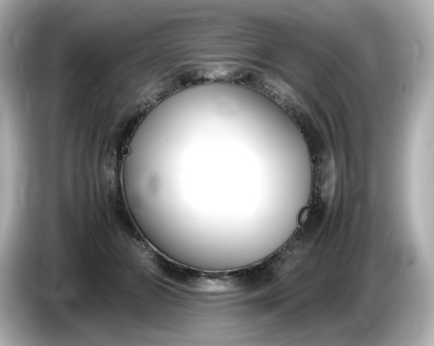 X0000086910510200704301040