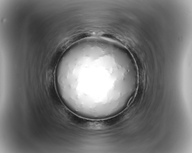 X0000086910511200704301040