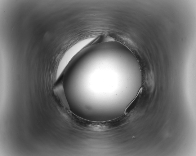 X0000086910512200704301040