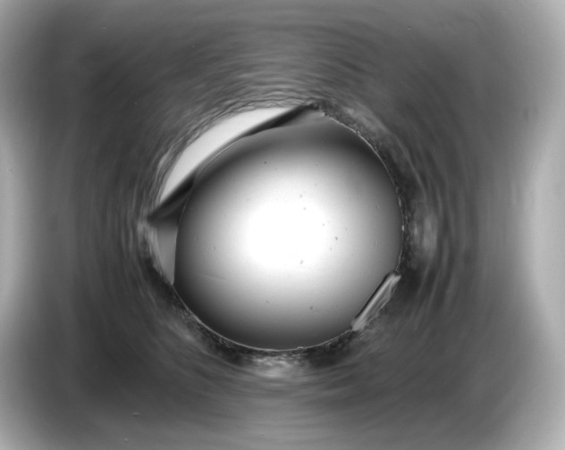 X0000086910516200704301040