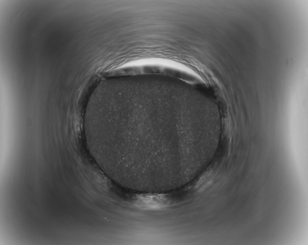 X0000086910517200704301040