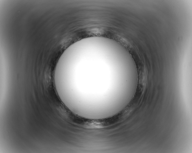 X0000086910518200704301040