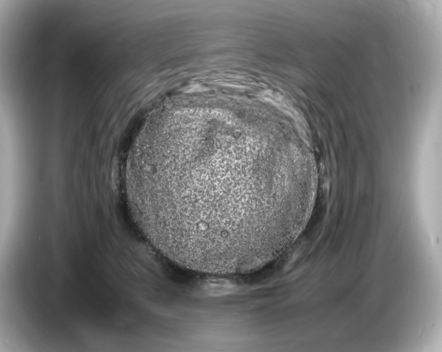 X0000086910519200704301040