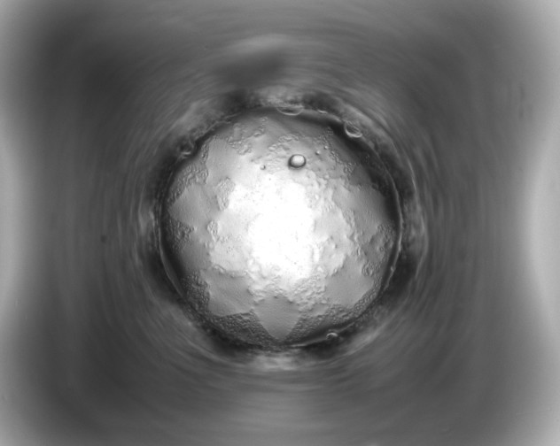 X0000086910523200704301040