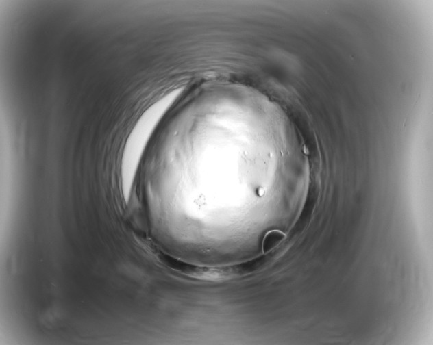 X0000086910527200704301039