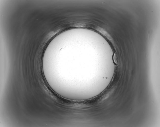 X0000086910529200704301039