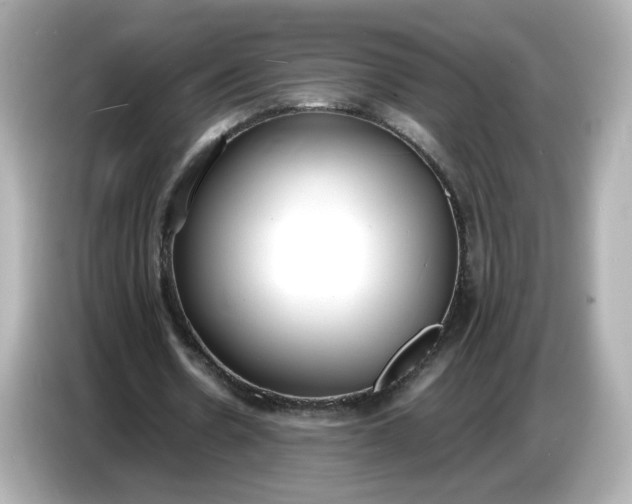 X0000086910530200704301039