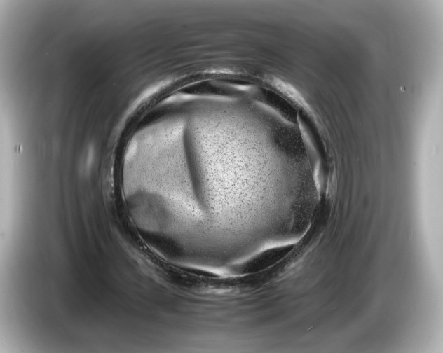 X0000086910531200704301039