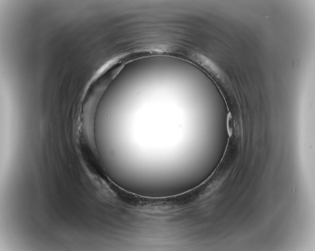 X0000086910532200704301039