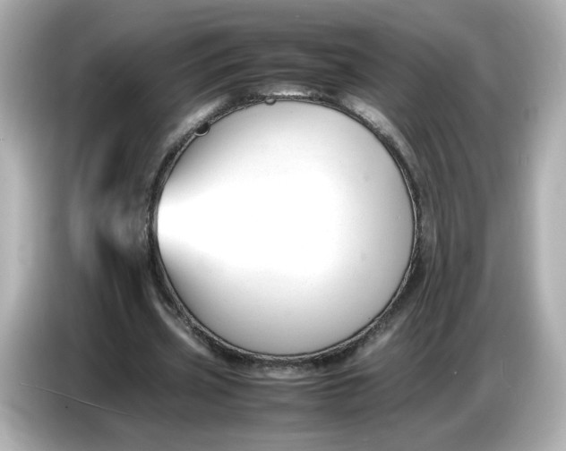 X0000086910533200704301039