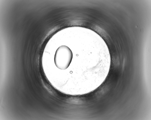 X0000086910534200704301039