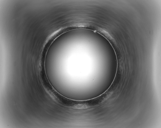 X0000086910536200704301039