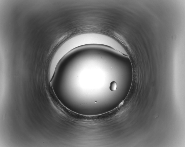 X0000086910538200704301039