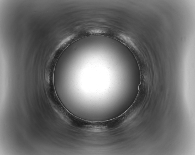 X0000086910539200704301039